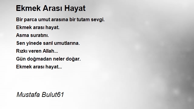 Mustafa Bulut61