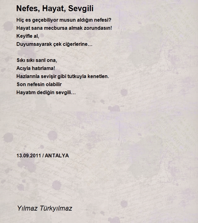 Yılmaz Türkyılmaz