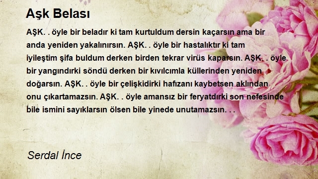 Serdal İnce