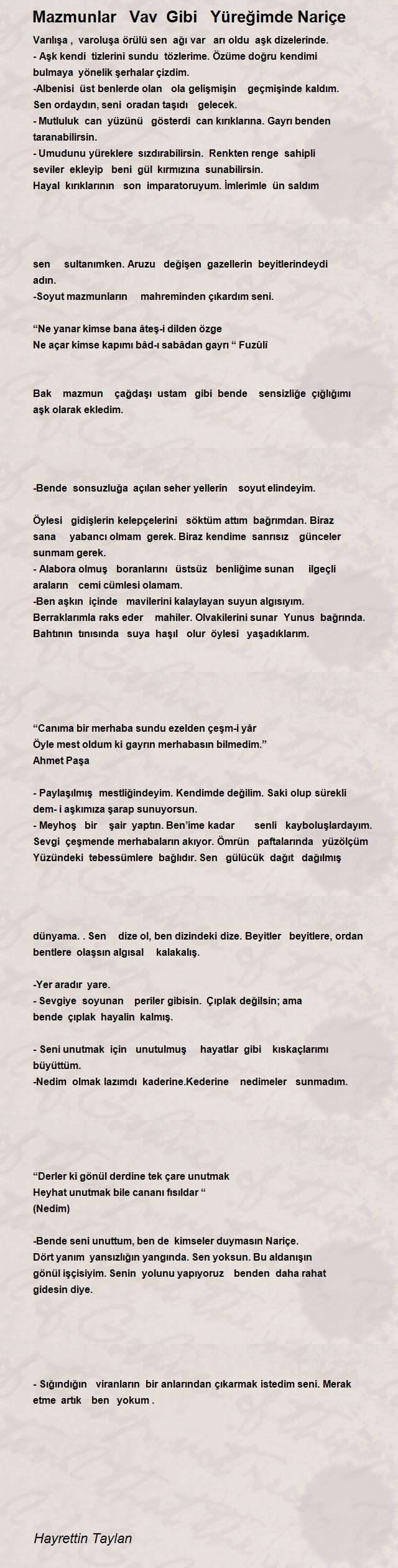 Hayrettin Taylan