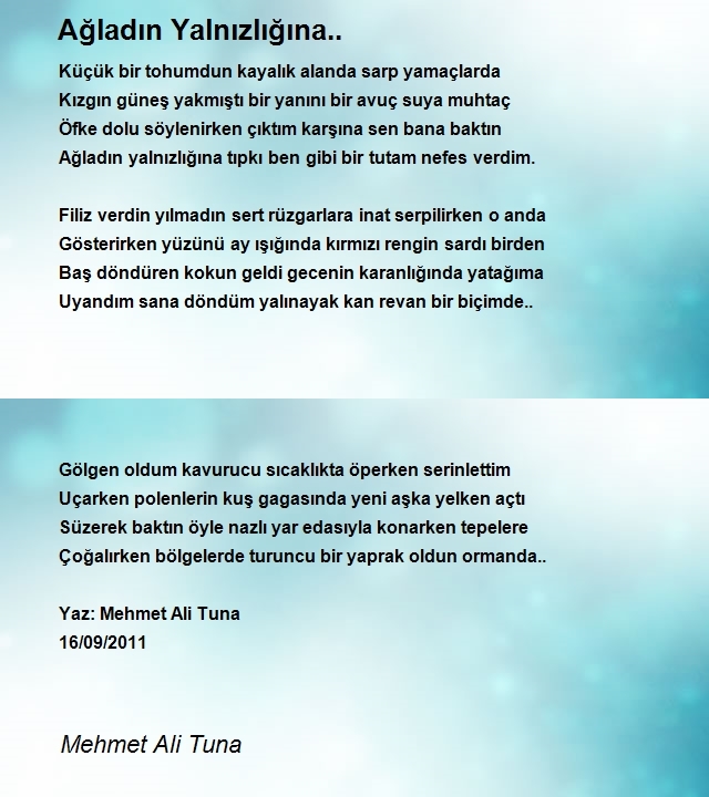 Mehmet Ali Tuna