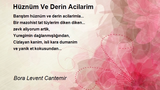 Bora Levent Cantemir