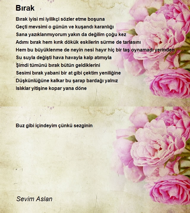 Sevim Aslan