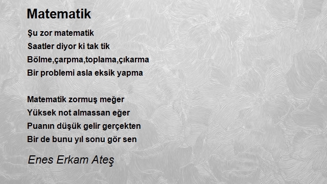 Enes Erkam Ateş