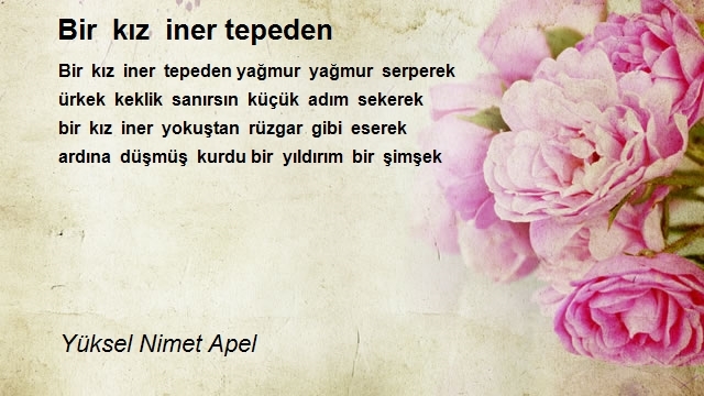 Yüksel Nimet Apel