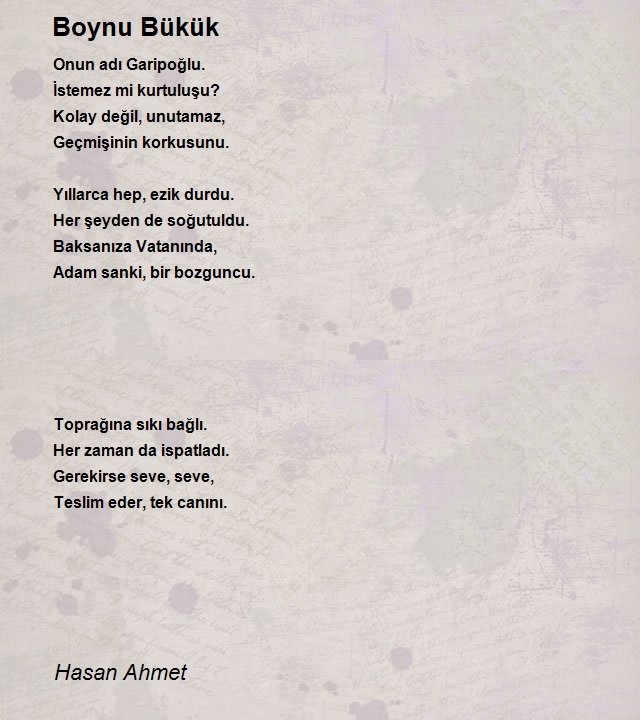 Hasan Ahmet