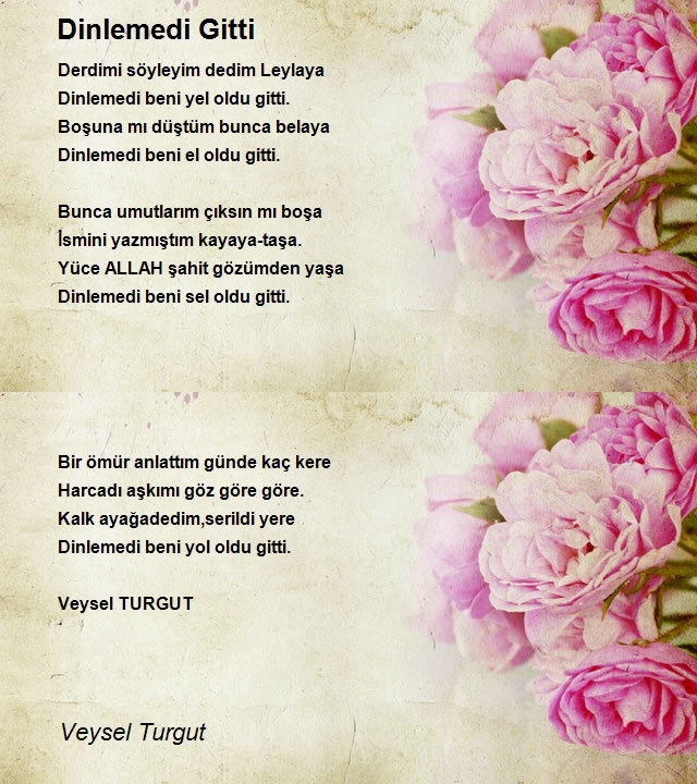 Veysel Turgut