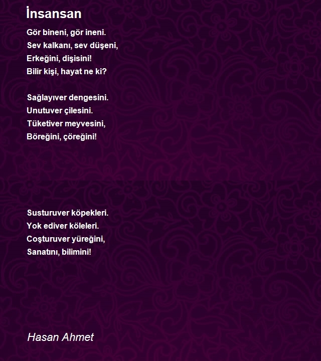 Hasan Ahmet