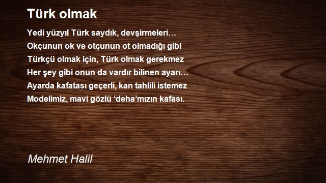 Mehmet Halil