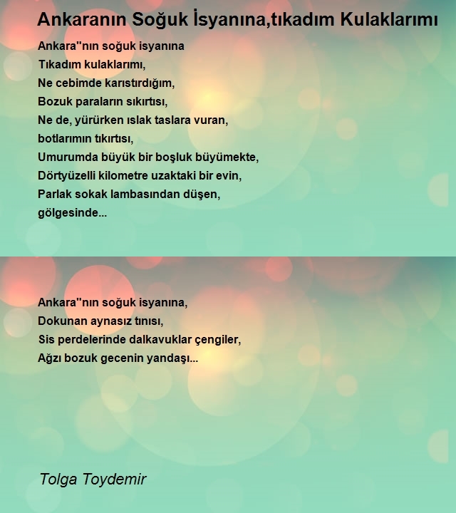 Tolga Toydemir