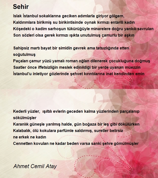 Ahmet Cemil Atay