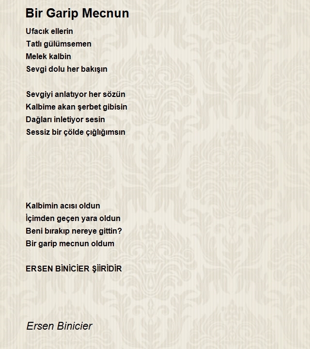 Ersen Binicier