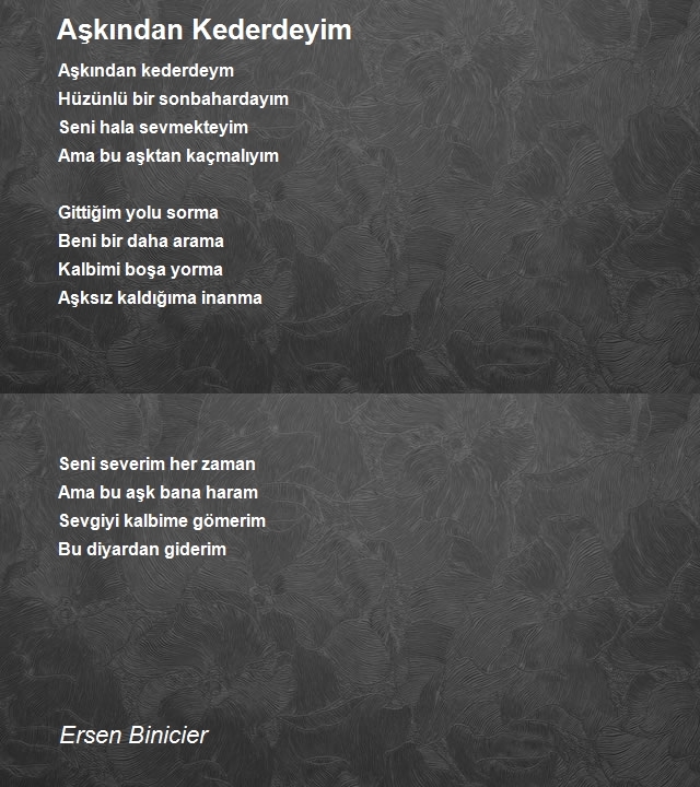 Ersen Binicier