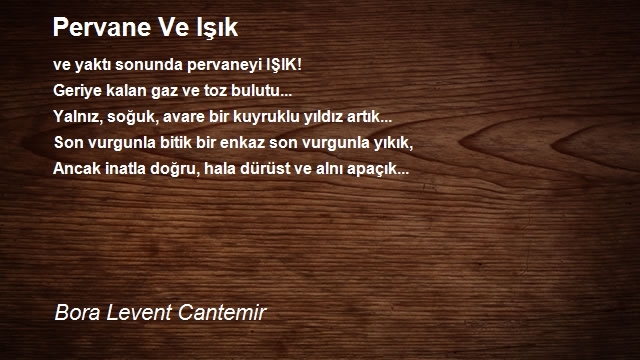 Bora Levent Cantemir