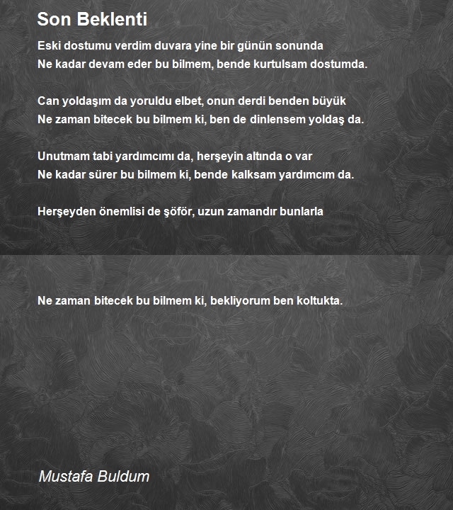 Mustafa Buldum