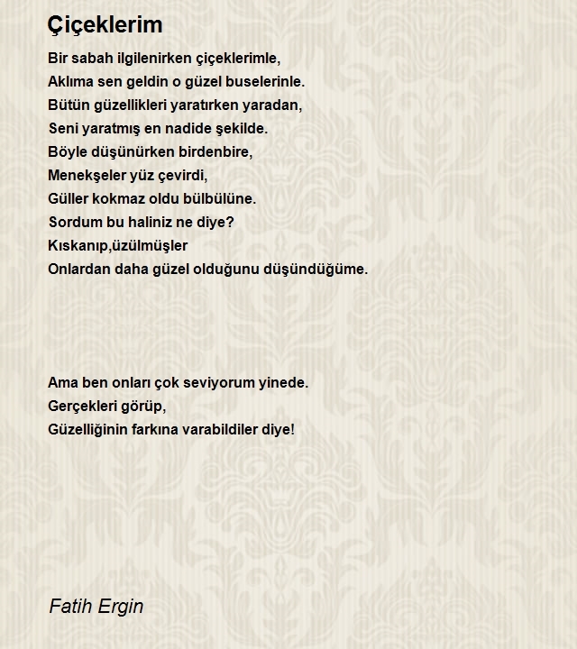 Fatih Ergin