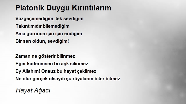 Hayat Ağacı