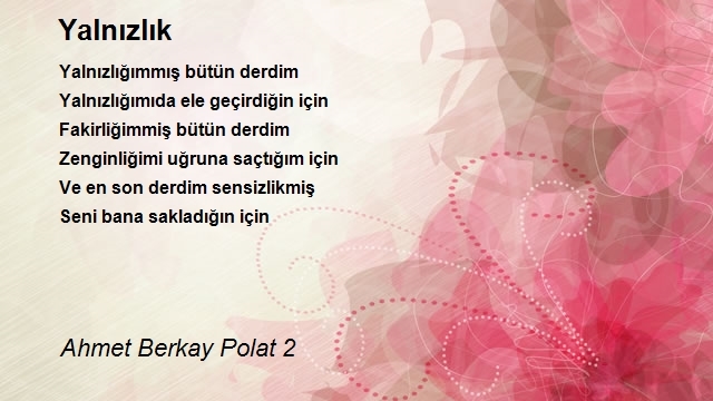 Ahmet Berkay Polat 2