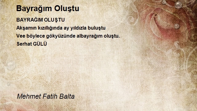 Mehmet Fatih Balta