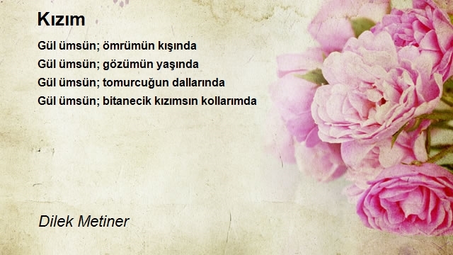 Dilek Metiner