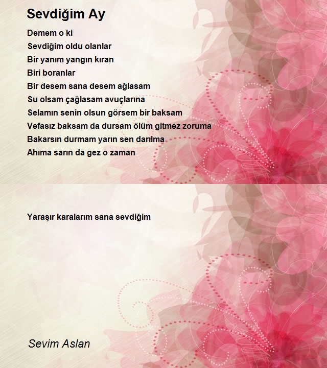 Sevim Aslan