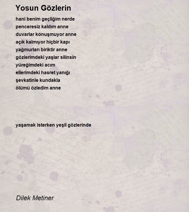 Dilek Metiner