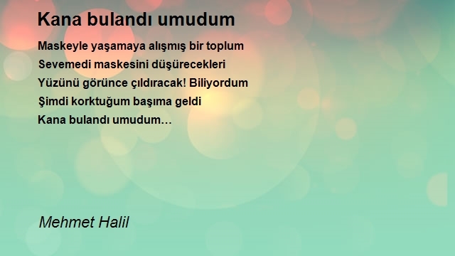 Mehmet Halil