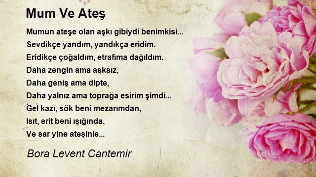 Bora Levent Cantemir