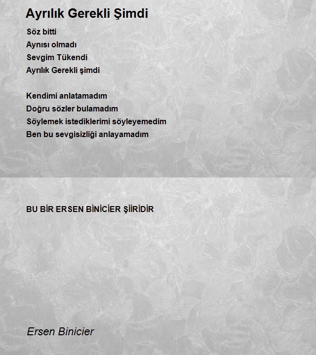 Ersen Binicier