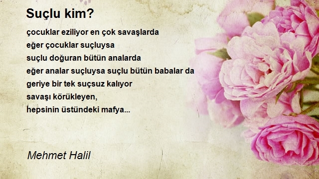 Mehmet Halil