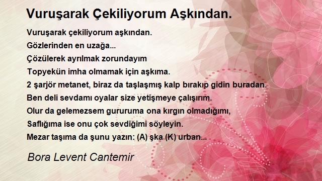 Bora Levent Cantemir