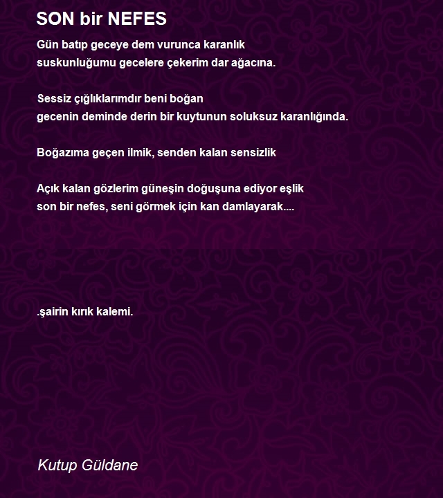 Kutup Güldane