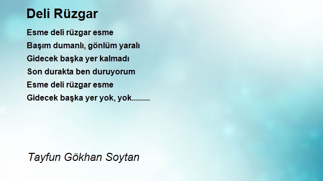 Tayfun Gökhan Soytan