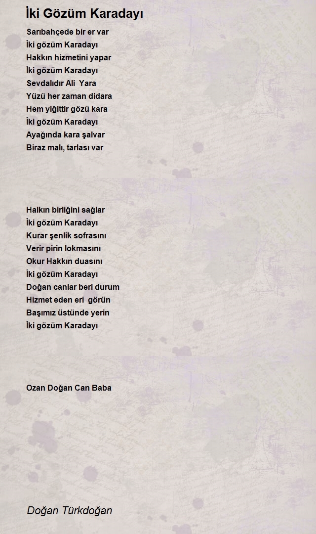 Doğan Türkdoğan