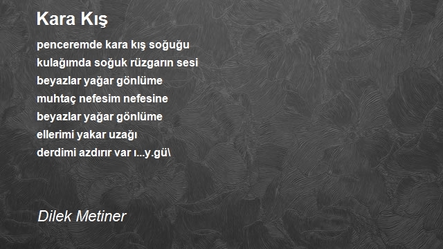 Dilek Metiner