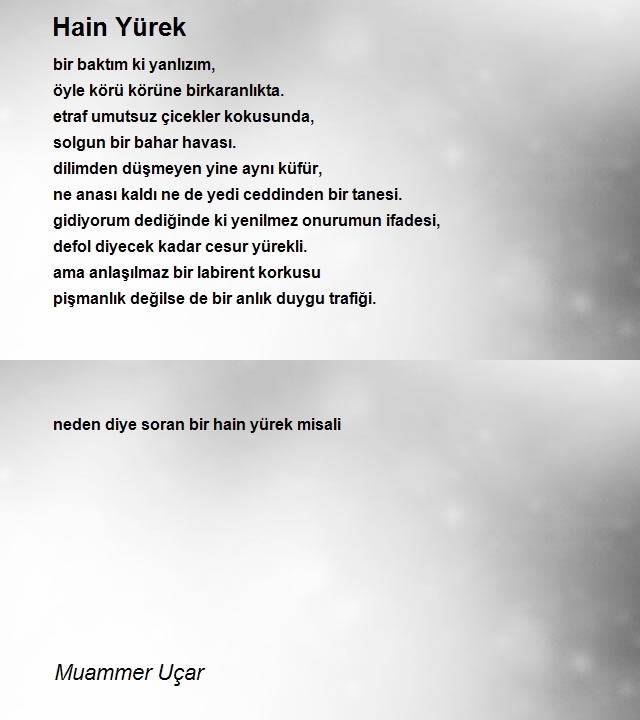 Muammer Uçar