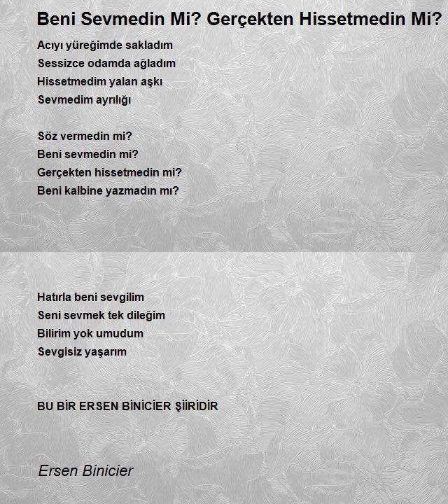 Ersen Binicier