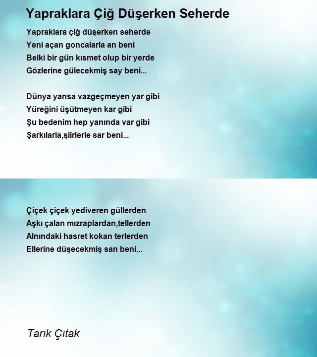 Tarık Çıtak