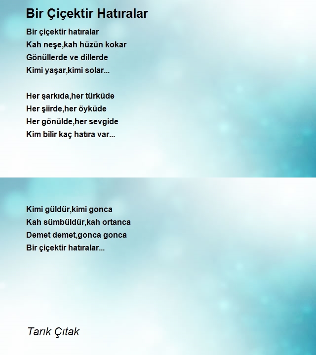 Tarık Çıtak