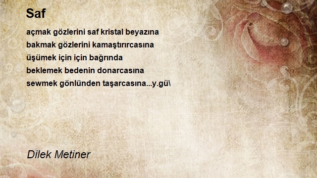 Dilek Metiner