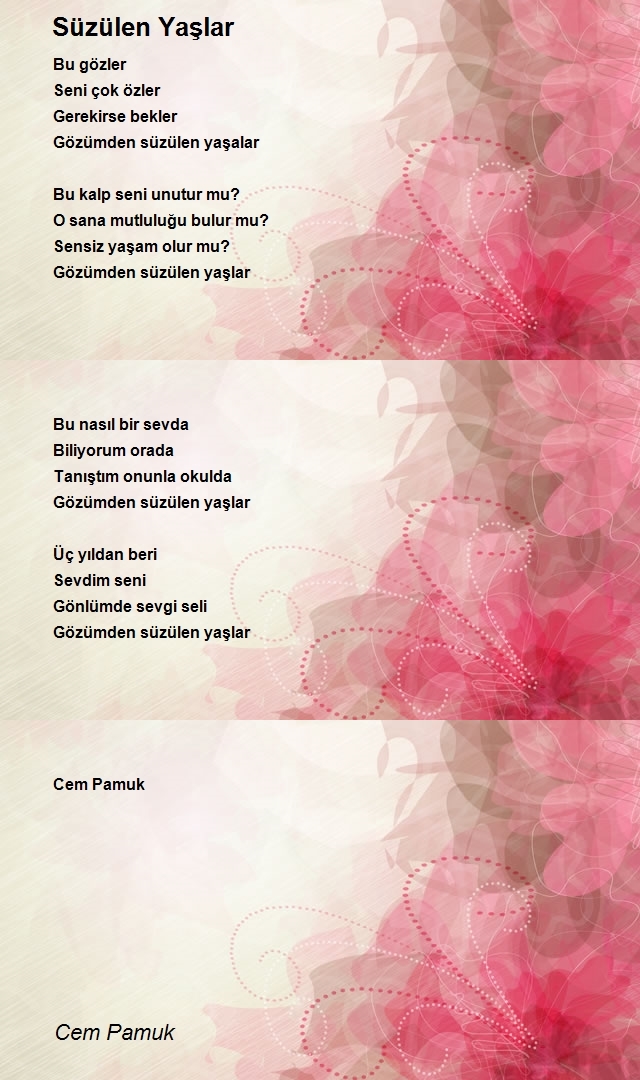 Cem Pamuk