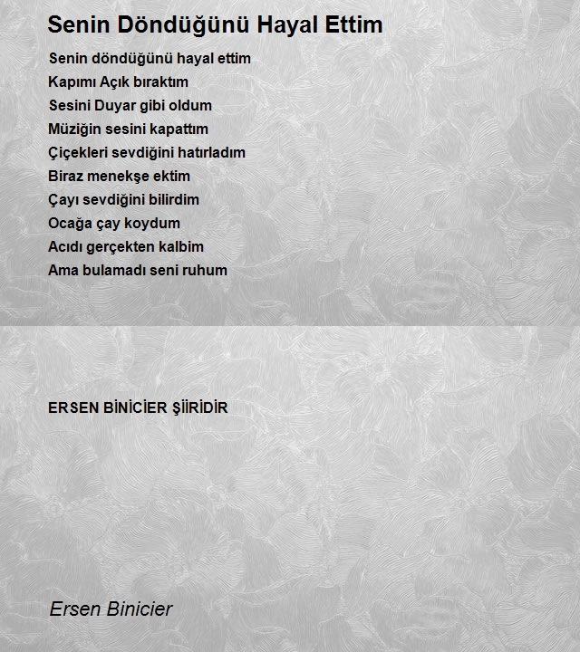 Ersen Binicier