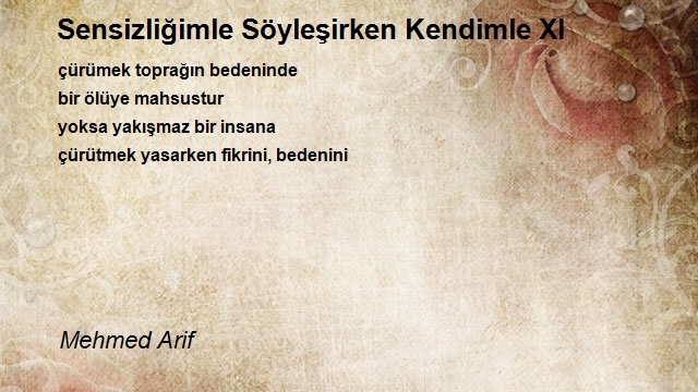 Mehmed Arif