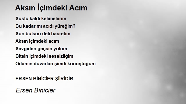 Ersen Binicier