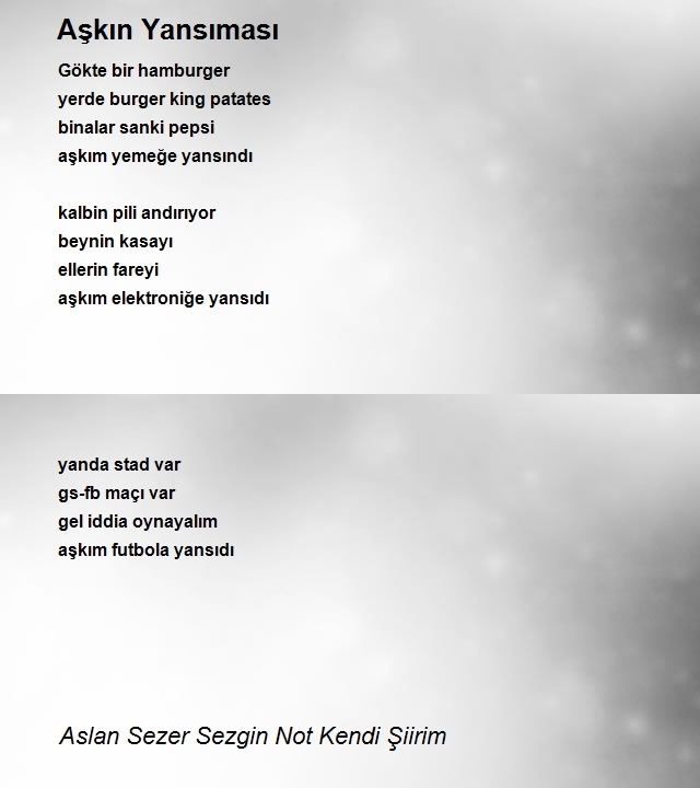 Aslan Sezer Sezgin Not Kendi Şiirim