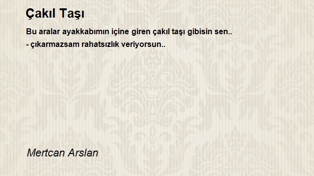 Mertcan Arslan