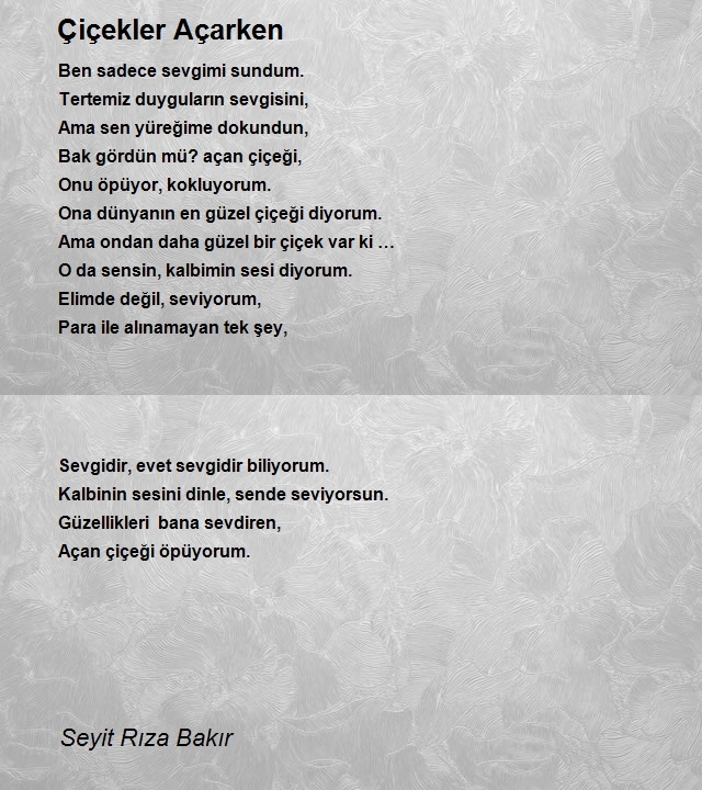 Seyit Rıza Bakır