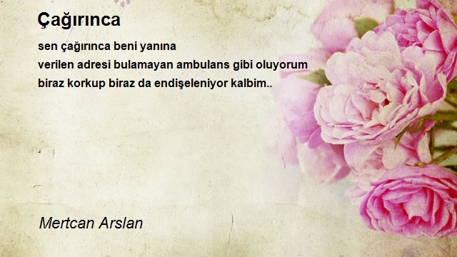 Mertcan Arslan