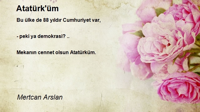 Mertcan Arslan