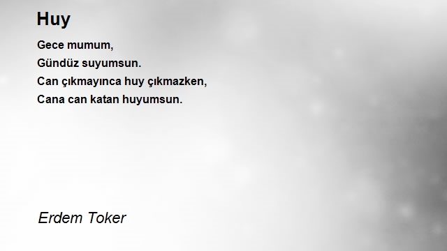 Erdem Toker